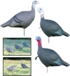 Flambeau Turkey Love Triangle Set Decoy