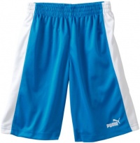 Puma - Kids Boys 8-20 Mesh Short, Blue Aster, Large Puma - Kids Boys 8-20 Mesh Short, Blue Aster, Large