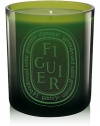 The classic Figuier scent presented in a mouth-blown glass and new size, colored during production for a shiny finish that lets you see the candle flame. Figuier scent recalls the fig tree warmed by the sun. All parts of the tree are represented here.