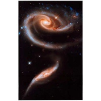 (11x17) Rose Galaxy Hubble Space Photo Art Poster Print (11x17) Rose Galaxy Hubble Space Photo Art Poster Print