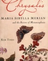 Chrysalis: Maria Sibylla Merian and the Secrets of Metamorphosis