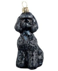Just begging for a home, this toy poodle ornament has puppy dog eyes and a beautiful coat in hand-painted glass by Joy to the World. Just begging for a home, this toy poodle ornament has puppy dog eyes and a beautiful coat in hand-painted glass by Joy to the World.