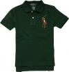 Polo Ralph Lauren Toddler Boys's Multicolor Big Pony Polo (6, Regent Green)