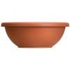 Akro Mils GAB12000E35 Garden Bowl with Removable Drain Plugs, Clay Color, 12-Inch