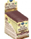 Garden of Life Raw Organic Protein Chocolate Packets