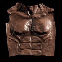 Werewolf Chest Brown Costume Accessory Werewolf Chest Brown Costume Accessory