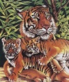 10 Inch x12 Inch Pencil By Number Kit - Tiger & Cubs