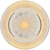 Haviland Cible Dinner Plate thick rim 28cm