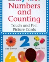 My First Touch  &  Feel Picture Cards: Numbers  &  Counting (MY 1ST T&F PICTURE CARDS)