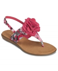 A delicate flower lends a darling touch to the Chlockwork sandal by Aerosoles. The thong strap brings a seasonal look and feel for sunny days. A delicate flower lends a darling touch to the Chlockwork sandal by Aerosoles. The thong strap brings a seasonal look and feel for sunny days.