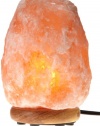 WBM 8-Inch Himalayan Natural Crystal Salt Lamp with Bulb and Cord