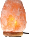 WBM 8-Inch Himalayan Natural Crystal Salt Lamp with Bulb and Cord