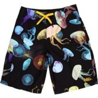 Nike 6.0 Boys 8-20 Boardshorts (16) Nike 6.0 Boys 8-20 Boardshorts (16)