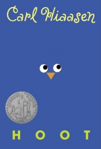 Hoot Hoot