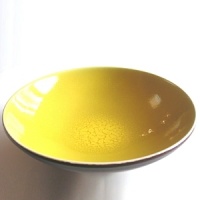 Upscale casual china with a flair of color. An exciting way to update your table.Available in avocado, cherry, orange, and lemon. Upscale casual china with a flair of color. An exciting way to update your table.Available in avocado, cherry, orange, and lemon.