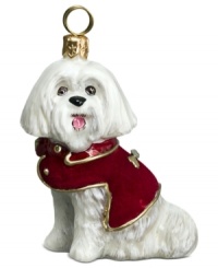 Just begging for a home, this Maltese ornament has puppy dog eyes and a beautiful red coat in hand-painted glass by Joy to the World. Just begging for a home, this Maltese ornament has puppy dog eyes and a beautiful red coat in hand-painted glass by Joy to the World.
