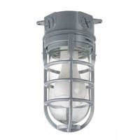 Metal Cage Ceiling Mount Light, Aluminum Metal Cage Ceiling Mount Light, Aluminum