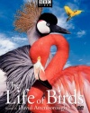 The Life of Birds