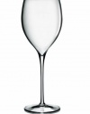 Luigi Bormioli Magnifico 15-1/2-ounce Wine Stemware, Set of 4