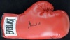 Muhammad Ali Signed Everlast Boxing Glove Steiner Hologram & Coa - Autographed Boxing Gloves