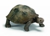 Schleich Giant Turtle