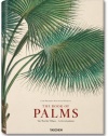 Martius, Book of Palms