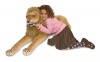 Made Of Premium Quality Plush Over A Flexible Wire Frame - Melissa & Doug Huggable Plush Stuffed Lion