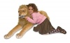 Made Of Premium Quality Plush Over A Flexible Wire Frame - Melissa & Doug Huggable Plush Stuffed Lion