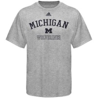 adidas Michigan Wolverines Ash Practice T-shirt adidas Michigan Wolverines Ash Practice T-shirt