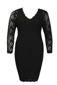 Adrianna Papell Long Sleeve Lace Sheath Dress - SIZE 16W Adrianna Papell Long Sleeve Lace Sheath Dress - SIZE 16W