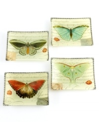 A natural beauty, this elegant set of Butterfly Prose plates layers intricate butterflies and romantic script in artfully colored glass. From Prima Designs. (Clearance) A natural beauty, this elegant set of Butterfly Prose plates layers intricate butterflies and romantic script in artfully colored glass. From Prima Designs. (Clearance)
