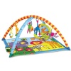 Tiny Love Super Deluxe Lights and Music Gymini Activity Gym