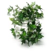 6 Ft Silk English Ivy Garland Wedding Artificial(garland)