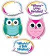 Colorful Owl Talkers Bulletin Board Set