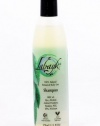 Labayk 100% Natural Conditioning Shampoo