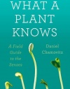 What a Plant Knows: A Field Guide to the Senses