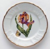 Anna Weatherley Old Master Tulips Salad Plate Purple/Yellow