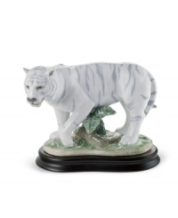 Out of the wild, into your living room. An exceptionally rare and exotic white tiger stalks its prey in this artfully handcrafted porcelain figurine from Lladro. Out of the wild, into your living room. An exceptionally rare and exotic white tiger stalks its prey in this artfully handcrafted porcelain figurine from Lladro.