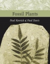 Fossil Plants (Smithsonian's Living Past)