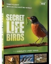 Secret Life of Birds - 5 Part Series