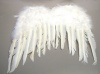 Children's White FEATHER ANGEL WINGS