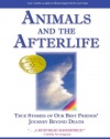 Animals and the Afterlife: True Stories of Our Best Friends' Journey Beyond Death