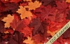 120 Silk Fall Maple Leaves in a Mixture of Autumn Colors - Great Autumn Table Scatters for Fall Weddings & Autumn Parties