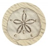 Set of 4 Absorbent Coasters - Sand Dollar
