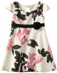 Lilly Pulitzer Girls 2-6X Little Cerise LG Dress, C-White Stroke-Midnight, 2 Lilly Pulitzer Girls 2-6X Little Cerise LG Dress, C-White Stroke-Midnight, 2