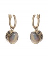 Add shimmer to your summer style with breezy shells. Kenneth Cole New York earrings feature a traditional hoop design accented by an abalone shell drop. Crafted in gold tone mixed metal. Approximate drop: 1-1/4 inches.