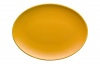 Waechtersbach Effect Glaze Lemon Peel Oval Platter