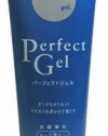 Shiseido FT Sengansenka Perfect Gel Makeup Cleansing