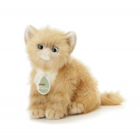 Aurora Plush 12 Pumpkin, Aurora Babies Honey Color Persian Kitten Aurora Plush 12 Pumpkin, Aurora Babies Honey Color Persian Kitten