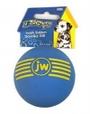 JW Pet Company iSqueak Ball Rubber Dog Toy, Medium, Colors Vary